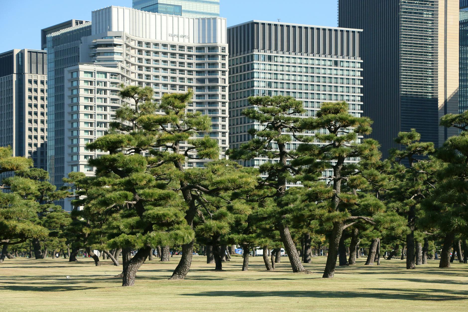 The Rebirth of Japan’s ANA InterContinental Tokyo Hotel
